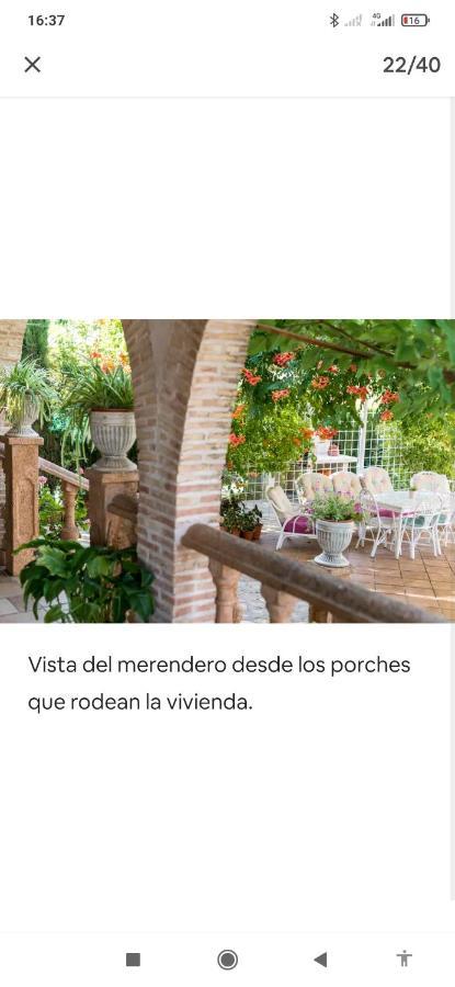 Villa Los Olivos Miguel Esteban 외부 사진